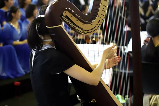 1712892614428913.jpg 5.jpg